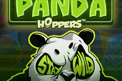 Eye of the Panda artwork